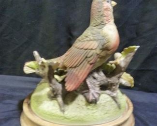 2 Cardinals - Andrea by Sadek