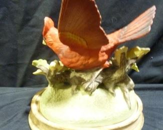 2 Cardinals - Andrea by Sadek