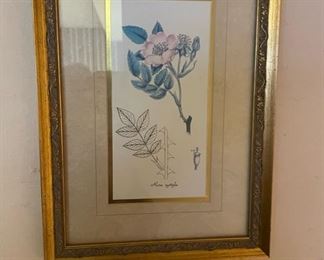 Framed Floral Art