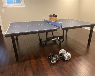 Ping pong table and accessories