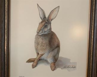 #60	Sally Ellington Middleton "Eastern Cottontail"  22x17 	$250 
