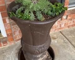 Large planters ideal for tall plants or bedding plants. Approximately 36" H x 16" W.