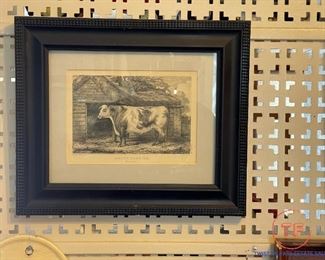 1800's Short Horn Ox Framed Engraving