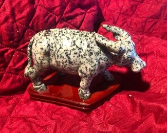 rocky mountain spotted fever cow