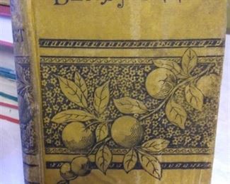 1882 Ben's Nugget by Horatio Alger Jr., Condition Fair for age