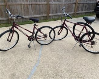 Matching Trek bikes