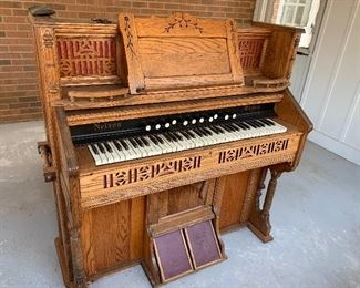 Nelson Organ
