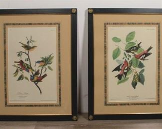 49	2 Aquatints After Audubon	Pair of 19th century aquatints, "Painted Bunting" and "White Winged Crossbill". Engraved, printed and colored by R.Havell 1829-1837 after J.J Audubon. Sight: 19 1/4" H x 12 1/2" W. Frame: 28 1/2" H x 23" W.
