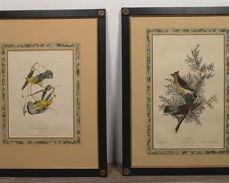 50	Pair of Aquatints After Audubon	Pair of Audubon aquatints , "Cedar Bird" and " Prothonotary Swamp Warbler". Includes a 1937 reproduction by The History Institute of America, Inc. New York City. Sight: 19 1/4" H x 12 1/2" W. Frame: 28 1/2" H x 23" W.
