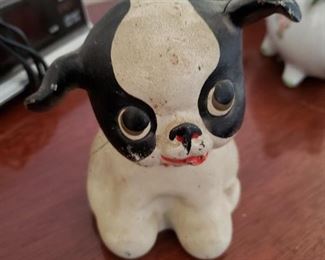 Who could resist these big eyes?