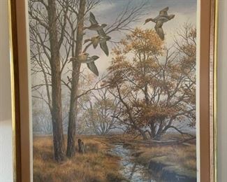 Framed Limited Edition Hand Signed and Numbered David Maass Print of Mallards