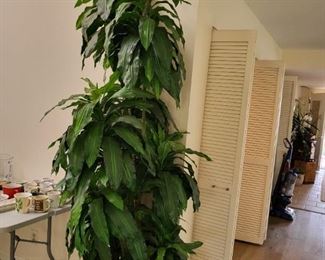 Large Faux Plant