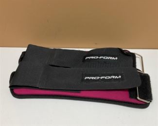#1590G. Ankle weights $2
