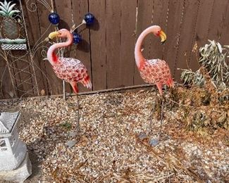 flamingos