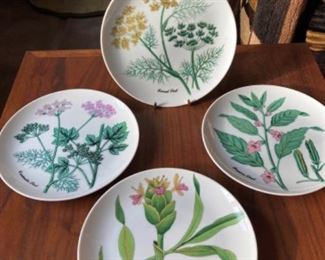 Shafford Botanical Plates