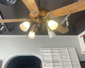 Ceiling Fans 