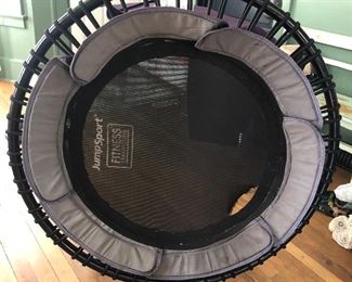 JumpSport Rebounding Fitness trampoline / needs new jumping pad (can be purchased reasonably from JumpSport) - frame and cords in great shape.