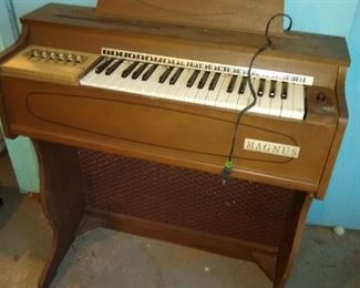 Very small Magnus organ.
