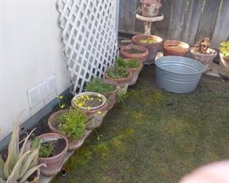 Many Terra Cota and Porcelain Planters