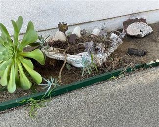 Huge clam
Crystal rocks