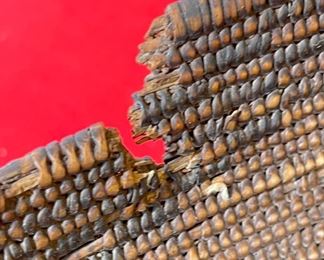 22in 1800s Antique Apache Tray Coiled Gathering Basket  Native American	5in h x 21.75 in diameter	
