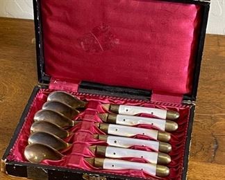 Brass MOP Spoons in Case	6.5x4.5in	
