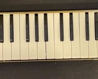 Hohner Melodica Piano Germany	2 x 20 x 5in	HxWxD
