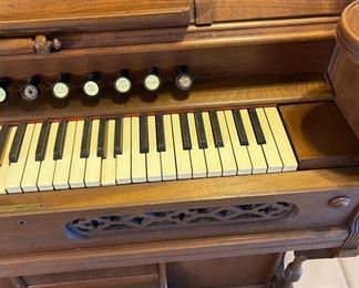 Antique Ab Chase Pump Organ		
