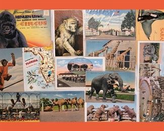 Small Sample of the Vintage Sarasota Postcard Collection