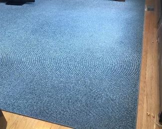 Blue Area Rug