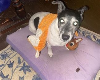 Thank you everybody!! We had a great sale, no sale on Sat because of the weather! See you at the next one! 