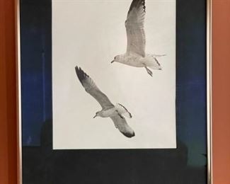 $50 - Beautifully framed Photo of two birds                                               
Dimensions 11 x 14    Margaret Witherbee Keats' house print 58/200 
CONDITION: Please refer to photos for a more detailed look at condition.  We make every attempt to list and photograph any defects or signs of wear that are significant to this sale. 
LOCAL PICK UP WASHINGTON DC.   BUYER IS RESPONSIBLE FOR ANY NECESSARY DISASSEMBLY AND ALL COSTS ASSOCIATED WITH SHIPPING OR PICK UP.  PLEASE CONTACT US FOR SHIPPING REFERRALS