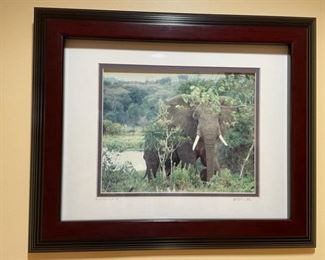 $50.00     Limited Edition Elephant Photograph Cohen 9/03 "Don't Mess with Me"

LOCATION: Washington DC

WHY WE LOVE IT:

 Great Limited Edition image of nature by Photographer Cohen.  Beautiful wood frame with mat. 

  

CONDITION:  Vintage and in very good condition. Please refer to photos for a more detailed look at condition.  We make every attempt to list and photograph any defects or signs of wear that are significant to this sale. 

 

LOCAL PICK UP.   BUYER IS RESPONSIBLE FOR ANY NECESSARY DISASSEMBLY AND ALL COSTS ASSOCIATED WITH SHIPPING OR PICK UP.  PLEASE CONTACT US FOR SHIPPING REFERRALS.