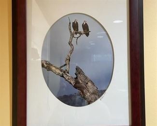 $50.00     Limited Edition Pair of White Headed Vultures Framed Photo Signed by Cohen 3/99

LOCATION: Washington DC

WHY WE LOVE IT:

 Beautiful Limited Edition photograph of birds in nature taken by photographer Cohen, signed and numbered. 

  

CONDITION: Framed and in very good vintage condition. Please refer to photos for a more detailed look at condition.  We make every attempt to list and photograph any defects or signs of wear that are significant to this sale. 

 

LOCAL PICK UP WASHINGTON DC.   BUYER IS RESPONSIBLE FOR ANY NECESSARY DISASSEMBLY AND ALL COSTS ASSOCIATED WITH SHIPPING OR PICK UP.  PLEASE CONTACT US FOR SHIPPING REFERRALS.
