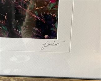 Amalfi Coast/Sorrento signed and numbered framed photograph. Photo 2 of 2.