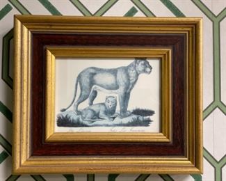 Set of 4 framed Big Cat plates. Each measure 9.5" x 8". Photo 1 of 4.