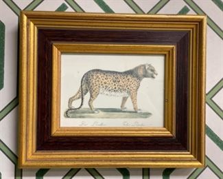 Set of 4 framed Big Cat plates. Each measure 9.5" x 8". Photo 2 of 4.