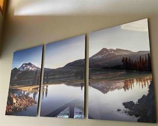 Large Wall Mounted Photography Art