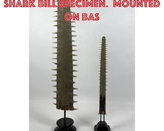 Lot 80 2 Natural Sawtooth Shark Bill Specimen. Mounted on bas