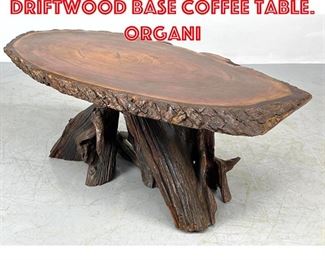Lot 308 Wood Tree Slice Top Driftwood Base Coffee Table. Organi