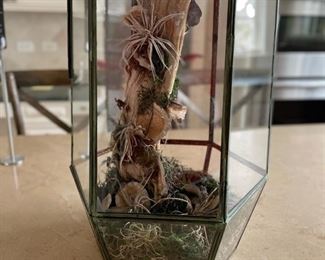 Terrarium. Photo 2 of 2.