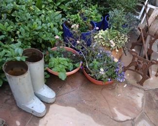 Plants and vintage planters
