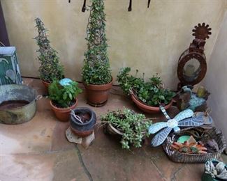 Plants and vintage planters