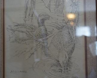 Drawing of Mallards in the water, signed,