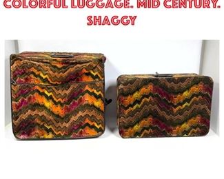 Lot 1433 Two piece vintage colorful luggage. Mid Century. Shaggy