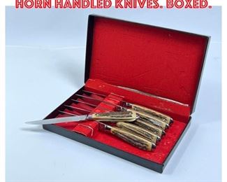 Lot 1721 6pc set HOFFRITZ Stag Horn Handled Knives. Boxed.