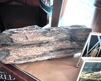 1 of 2 Petrified logs