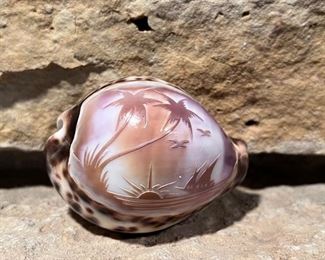 Hand carved shell
