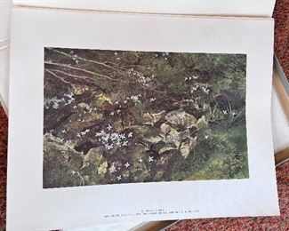 Four Seasons by Andrew Wyeth - 12 prints