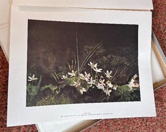 Four Seasons by Andrew Wyeth - 12 prints